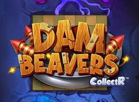 Dam Beavers
