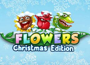 Flowers Christmas