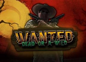 Wanted Dead Or A Wild
